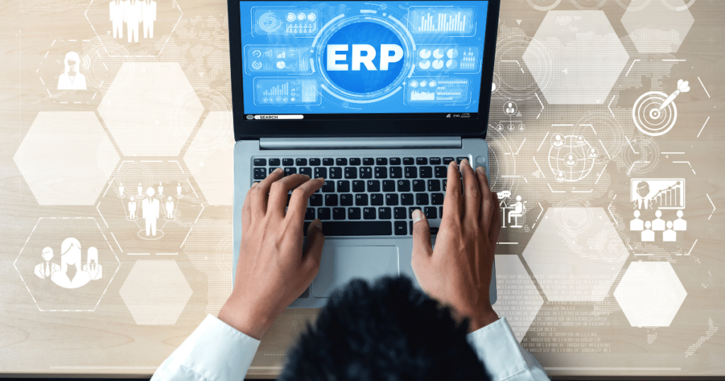 sistema empresarial